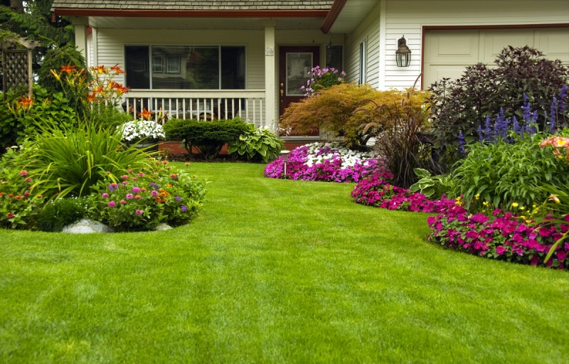 professional local landscaping services